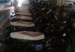 国产gv,探索东方美学与视觉盛宴的完美融合